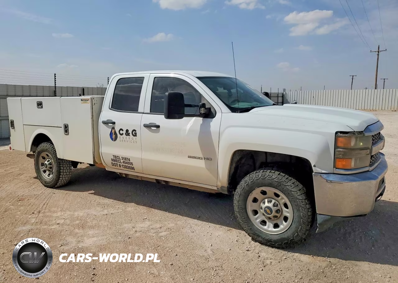 2019 Chevrolet Silverado K2500 Heavy Duty VIN:2GB2KREG0K1189726 - 4