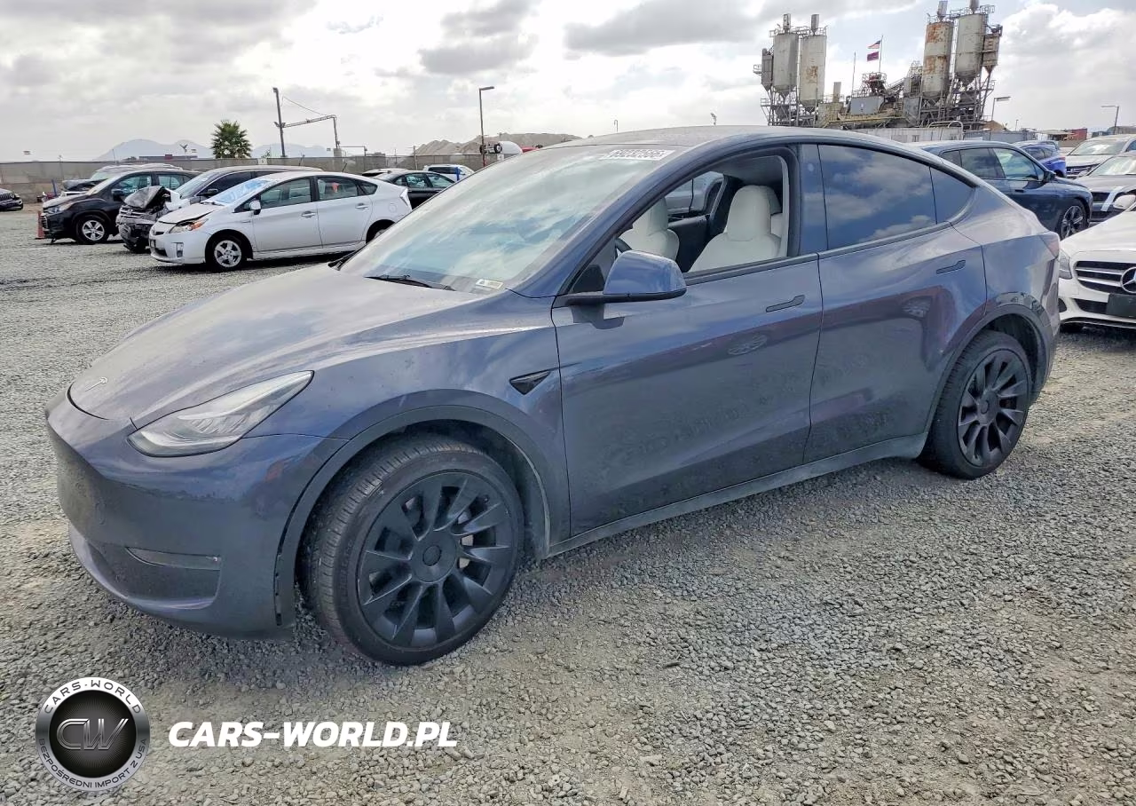 2023 Tesla Model Y VIN:7SAYGDEE3PA091447 - 1