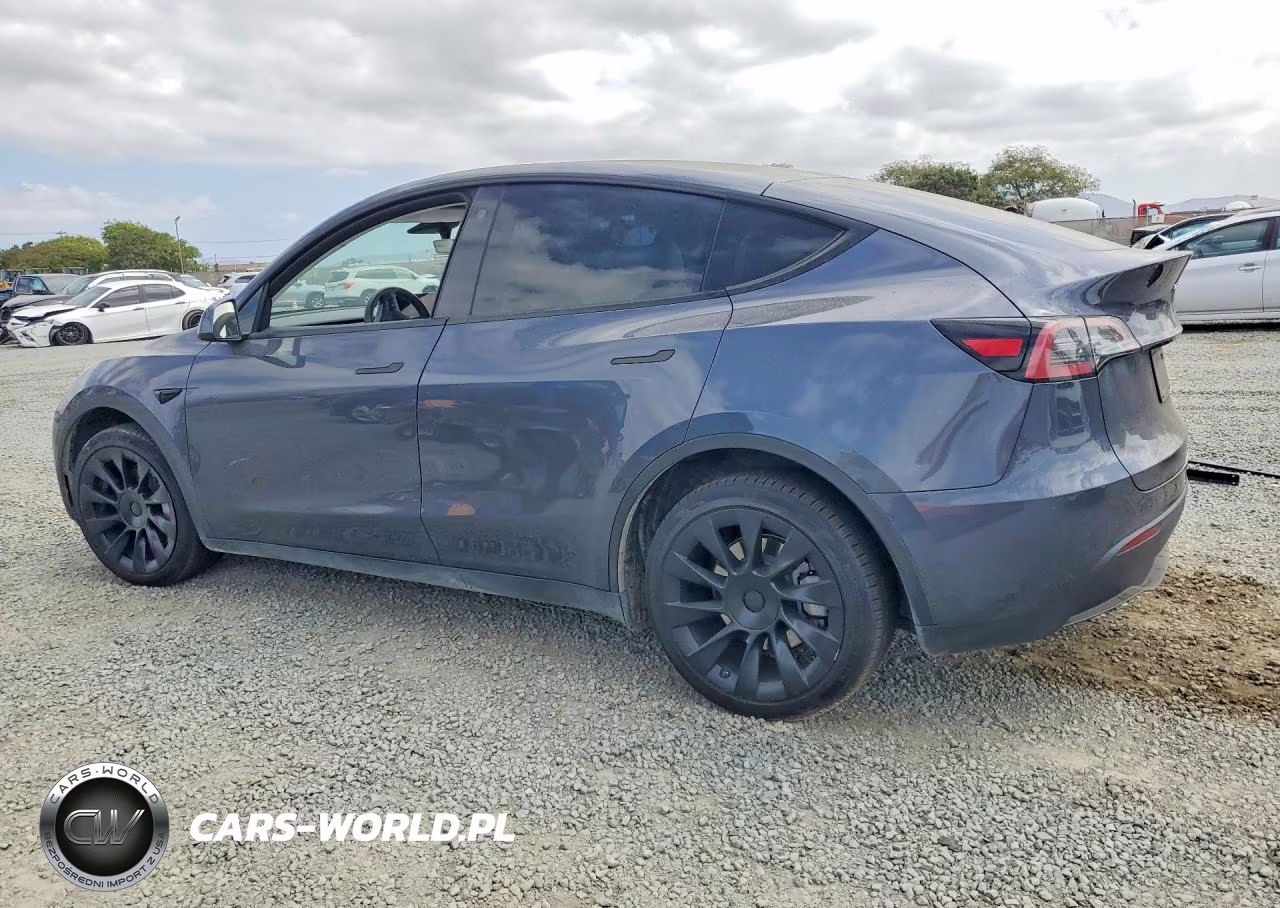 2023 Tesla Model Y VIN:7SAYGDEE3PA091447 - 2