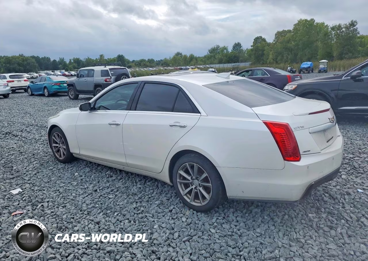 2019 Cadillac Cts Luxury VIN:1G6AX5SX4K0114144 - 2