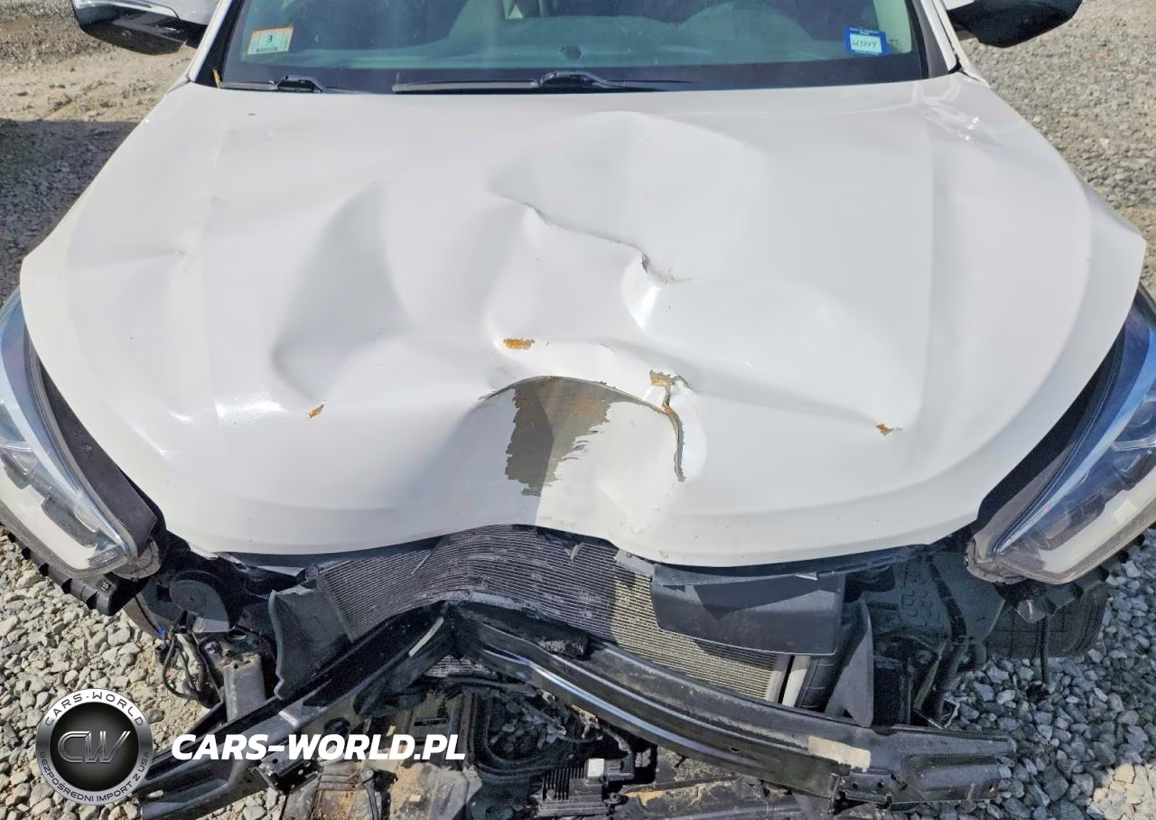 2018 Hyundai Santa Fe Limited Ultimate VIN:KM8SRDHF6JU289244 - 12