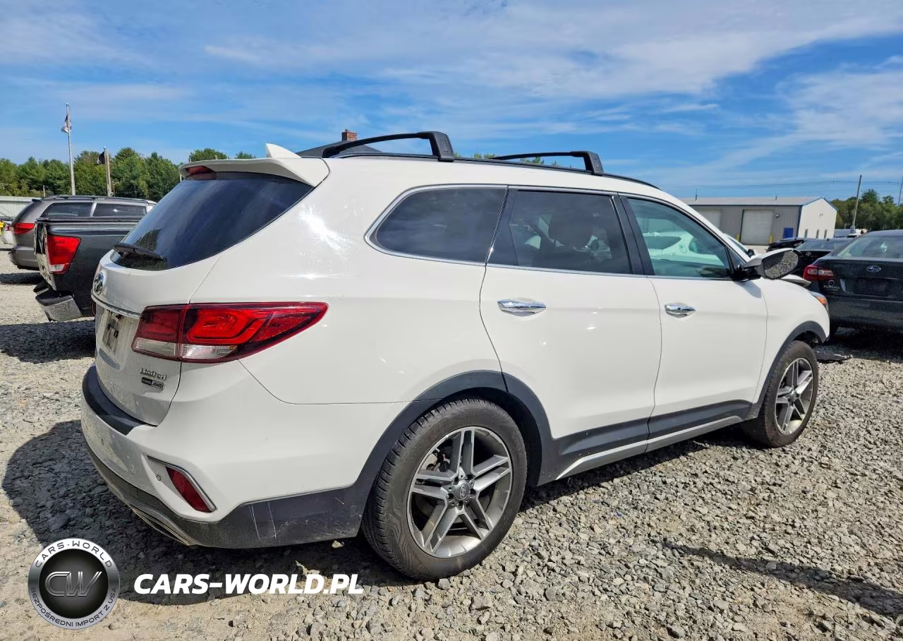 2018 Hyundai Santa Fe Limited Ultimate VIN:KM8SRDHF6JU289244 - 3