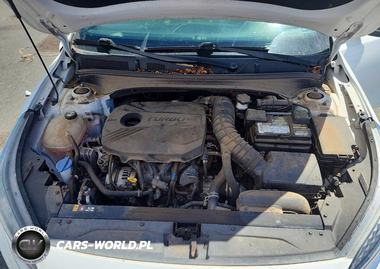 2023 Kia Forte Gt VIN:3KPF44AC3PE538238 - 11