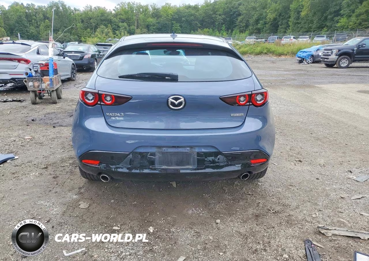 2023 Mazda 3 Premium VIN:JM1BPAMM2P1608176 - 6