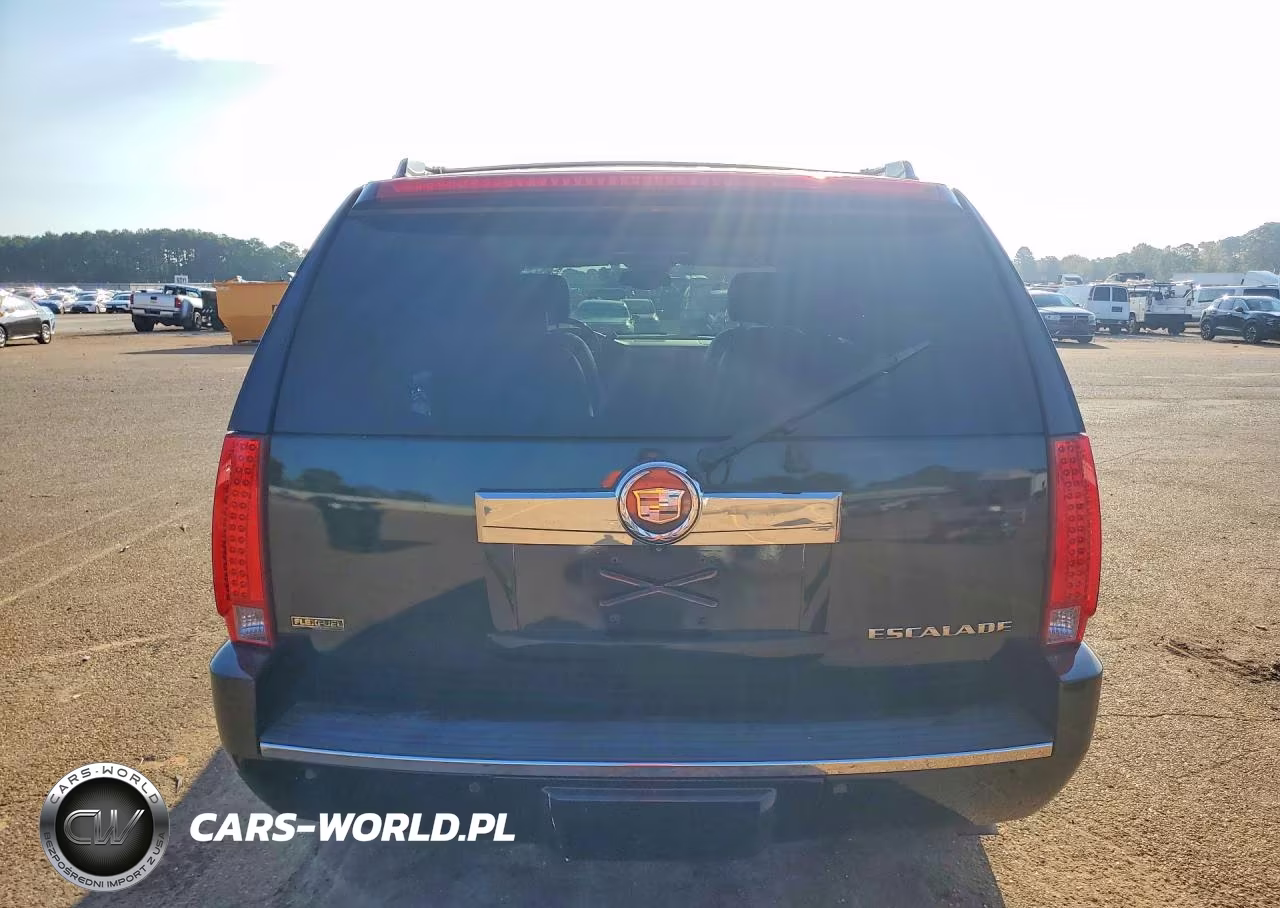 2009 Cadillac Escalade Luxury VIN:1GYFC23299R276769 - 6