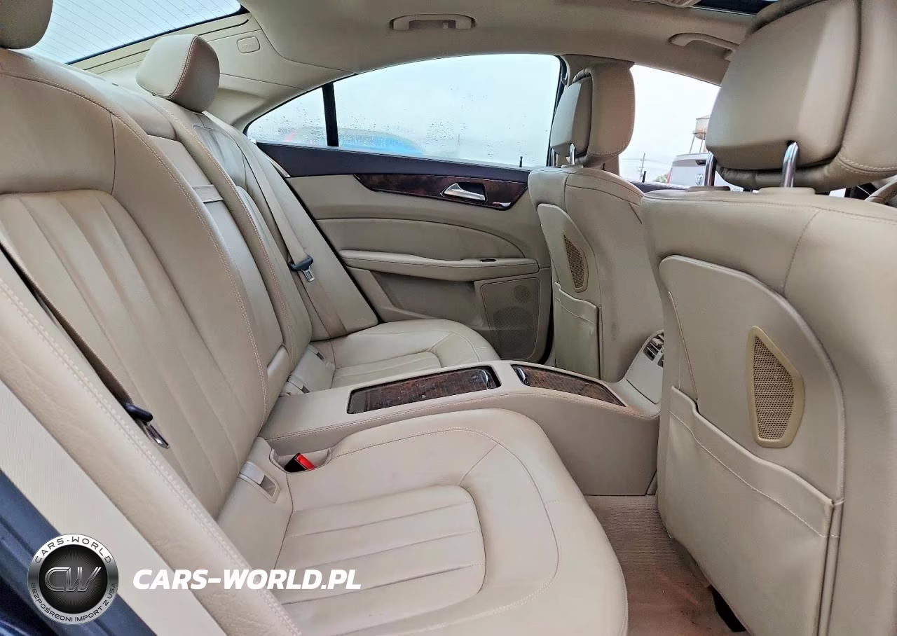 2013 Mercedes-Benz Cls 550 4Matic VIN:WDDLJ9BB0DA078538 - 10