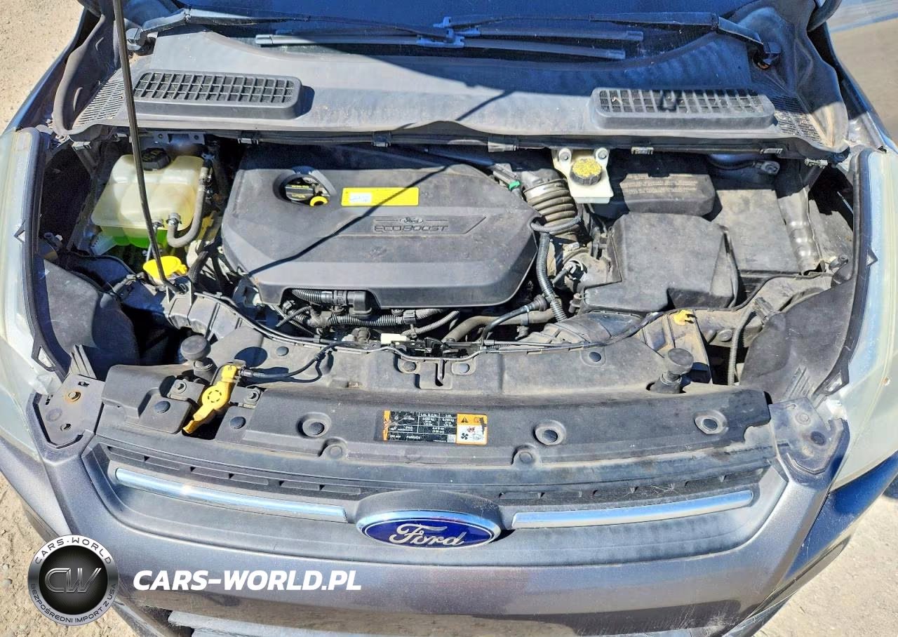 2014 Ford Escape Se VIN:1FMCU0GX5EUC24834 - 11