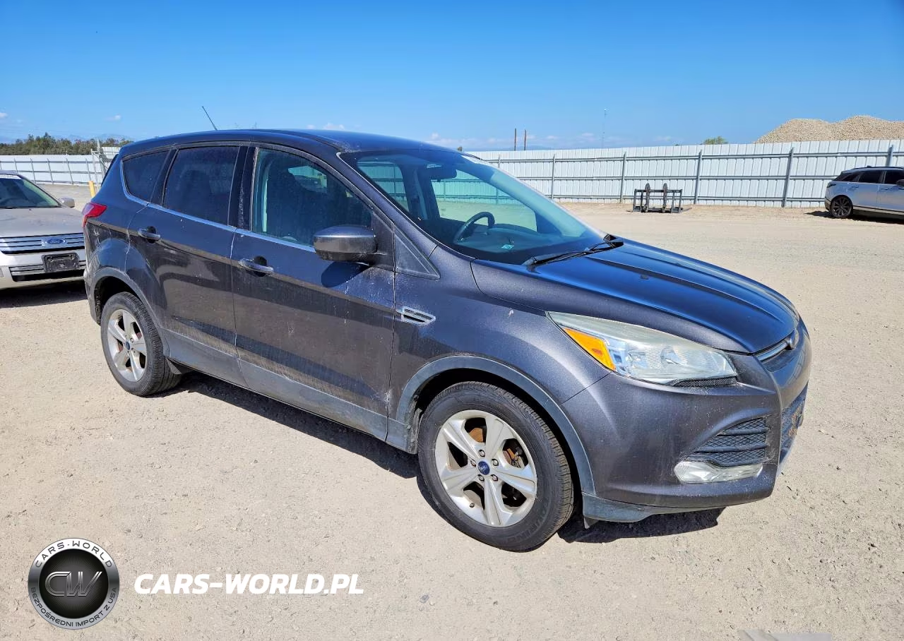 2014 Ford Escape Se VIN:1FMCU0GX5EUC24834 - 4