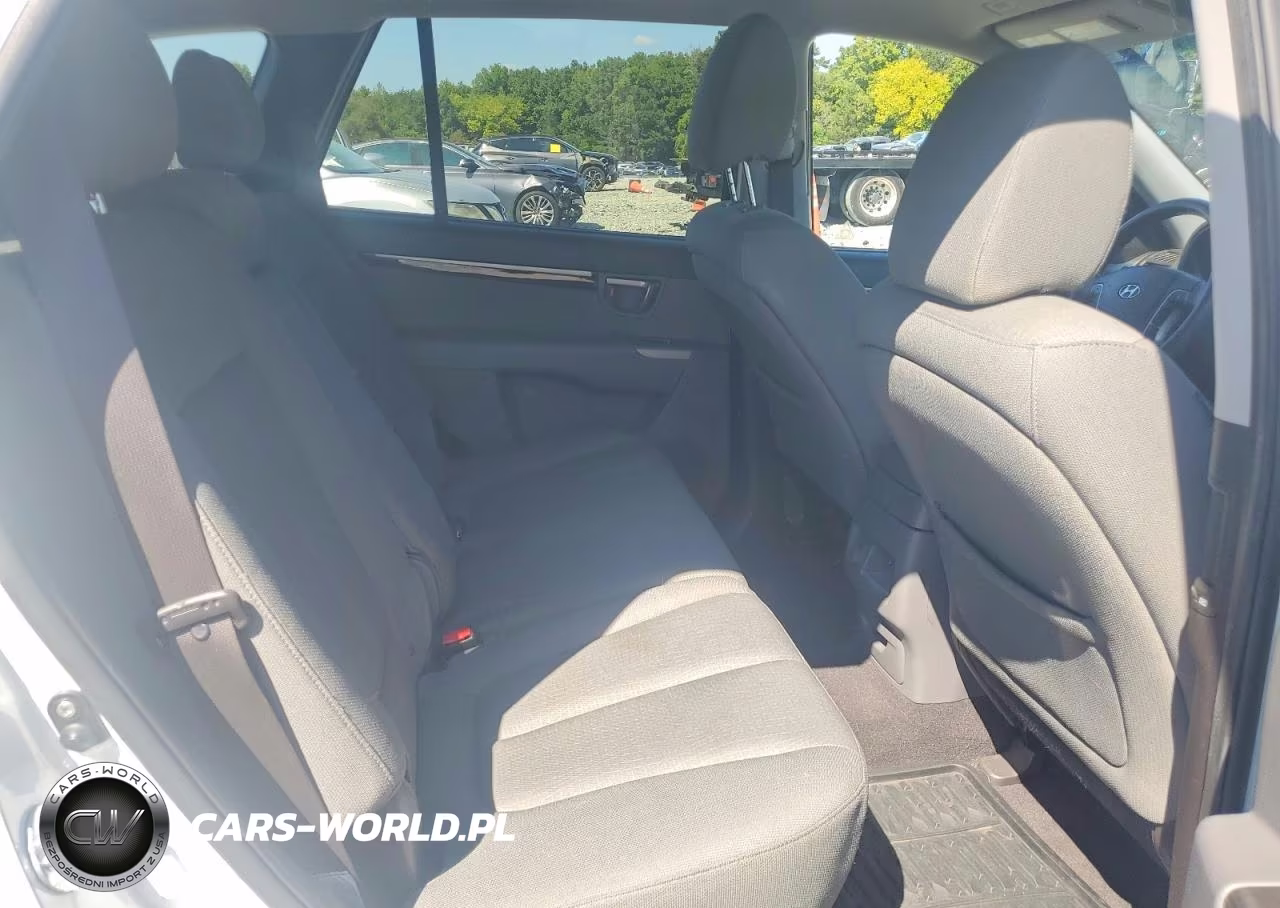 2010 Hyundai Santa Fe Gls VIN:5NMSG3AB9AH333126 - 11