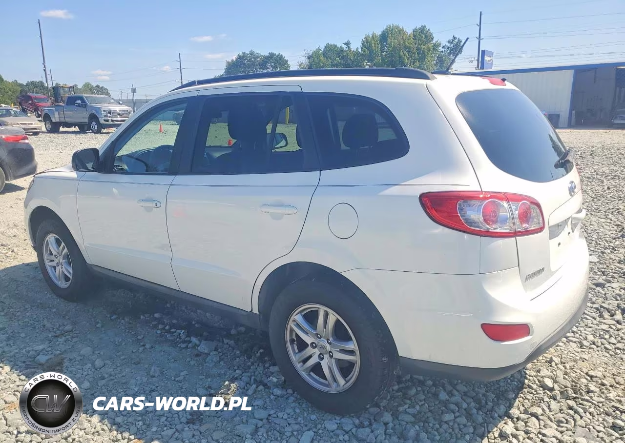 2010 Hyundai Santa Fe Gls VIN:5NMSG3AB9AH333126 - 2