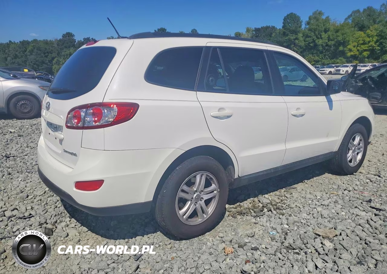 2010 Hyundai Santa Fe Gls VIN:5NMSG3AB9AH333126 - 3