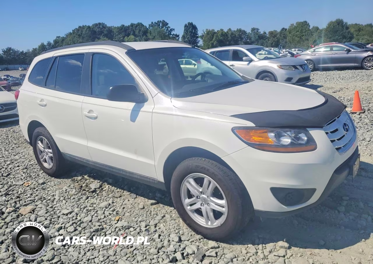 2010 Hyundai Santa Fe Gls VIN:5NMSG3AB9AH333126 - 4