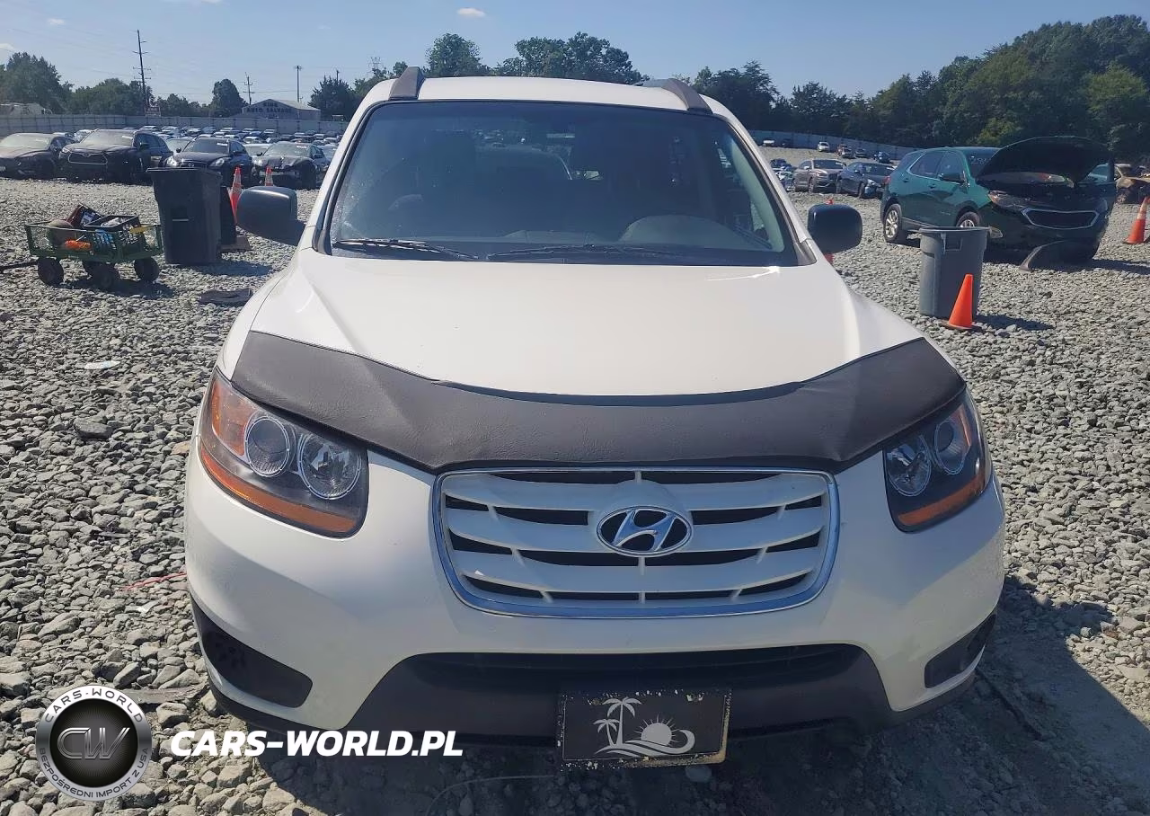 2010 Hyundai Santa Fe Gls VIN:5NMSG3AB9AH333126 - 5