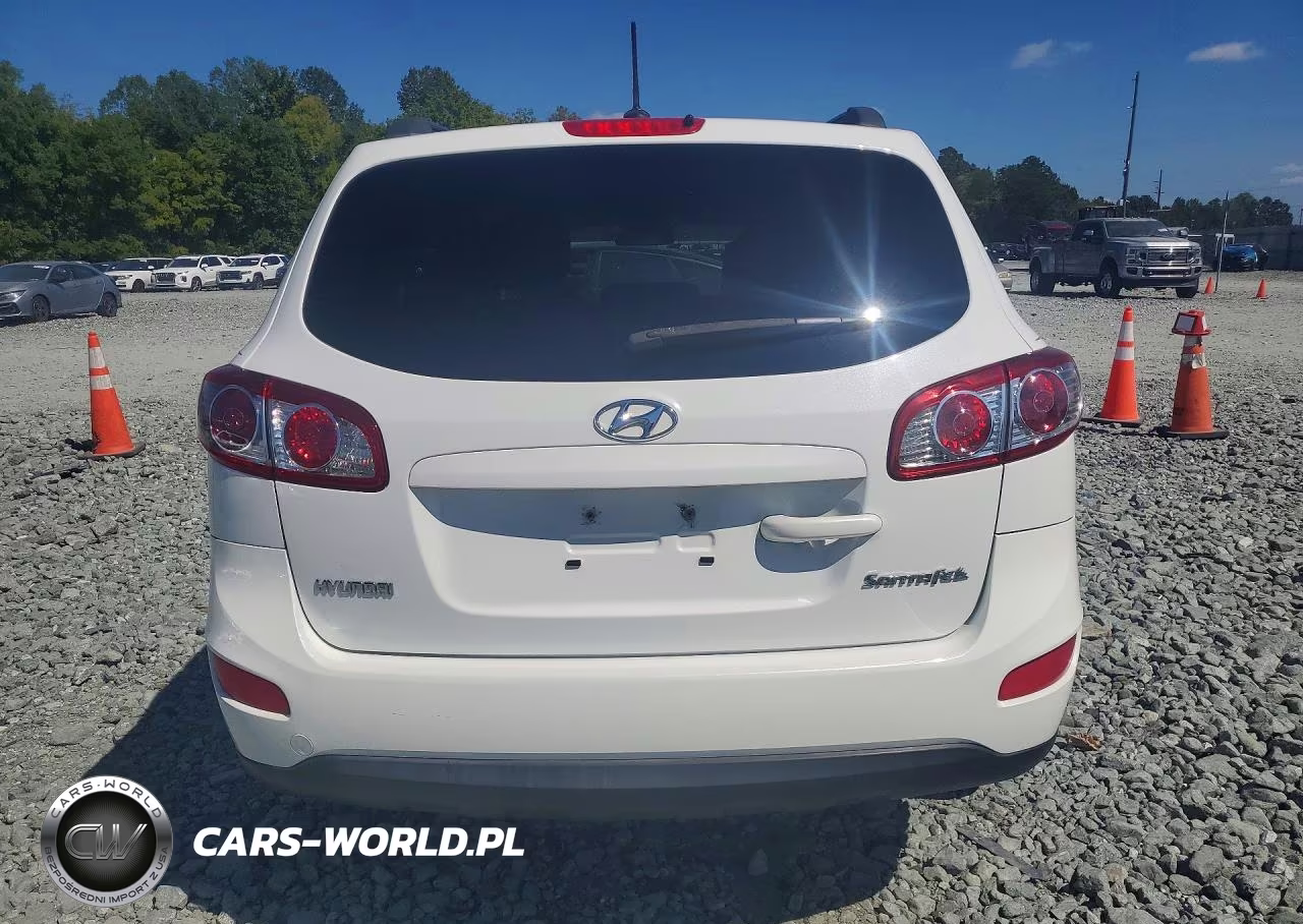 2010 Hyundai Santa Fe Gls VIN:5NMSG3AB9AH333126 - 6