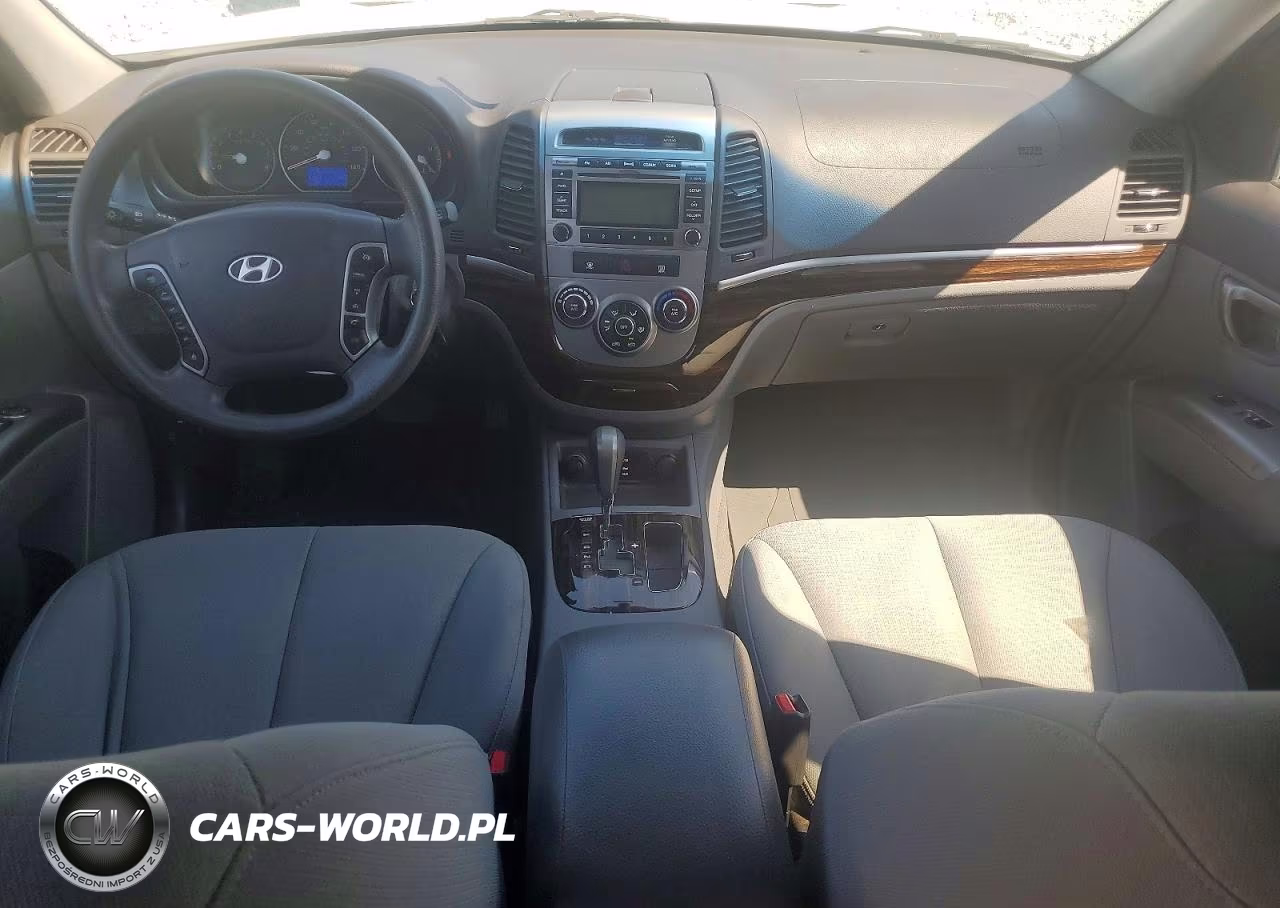 2010 Hyundai Santa Fe Gls VIN:5NMSG3AB9AH333126 - 8
