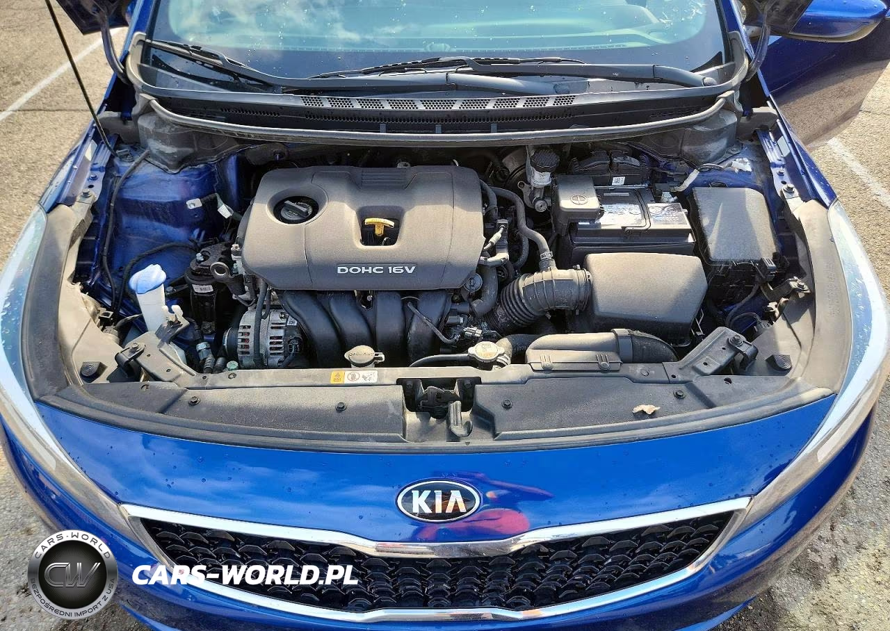 2018 Kia Forte Lx VIN:3KPFK4A78JE183292 - 11