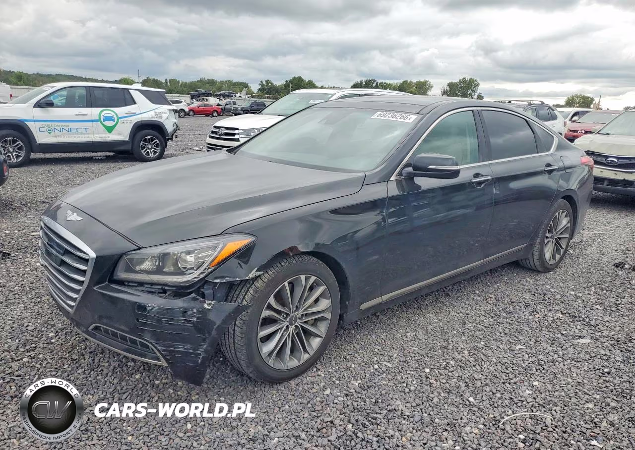 2015 Hyundai Genesis 3.8L VIN:KMHGN4JE5FU094780 - 1