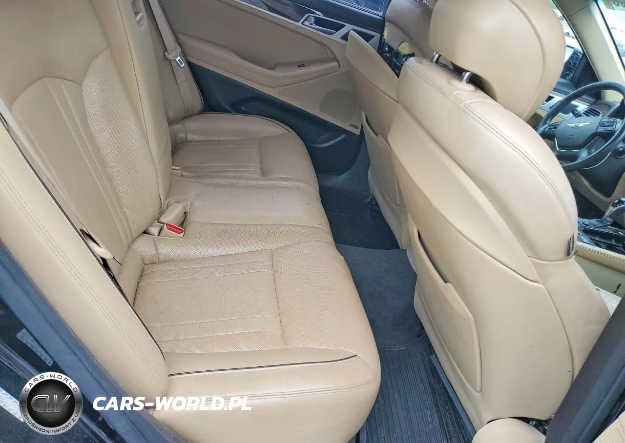2015 Hyundai Genesis 3.8L VIN:KMHGN4JE5FU094780 - 10