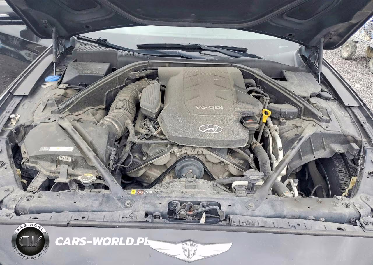 2015 Hyundai Genesis 3.8L VIN:KMHGN4JE5FU094780 - 11