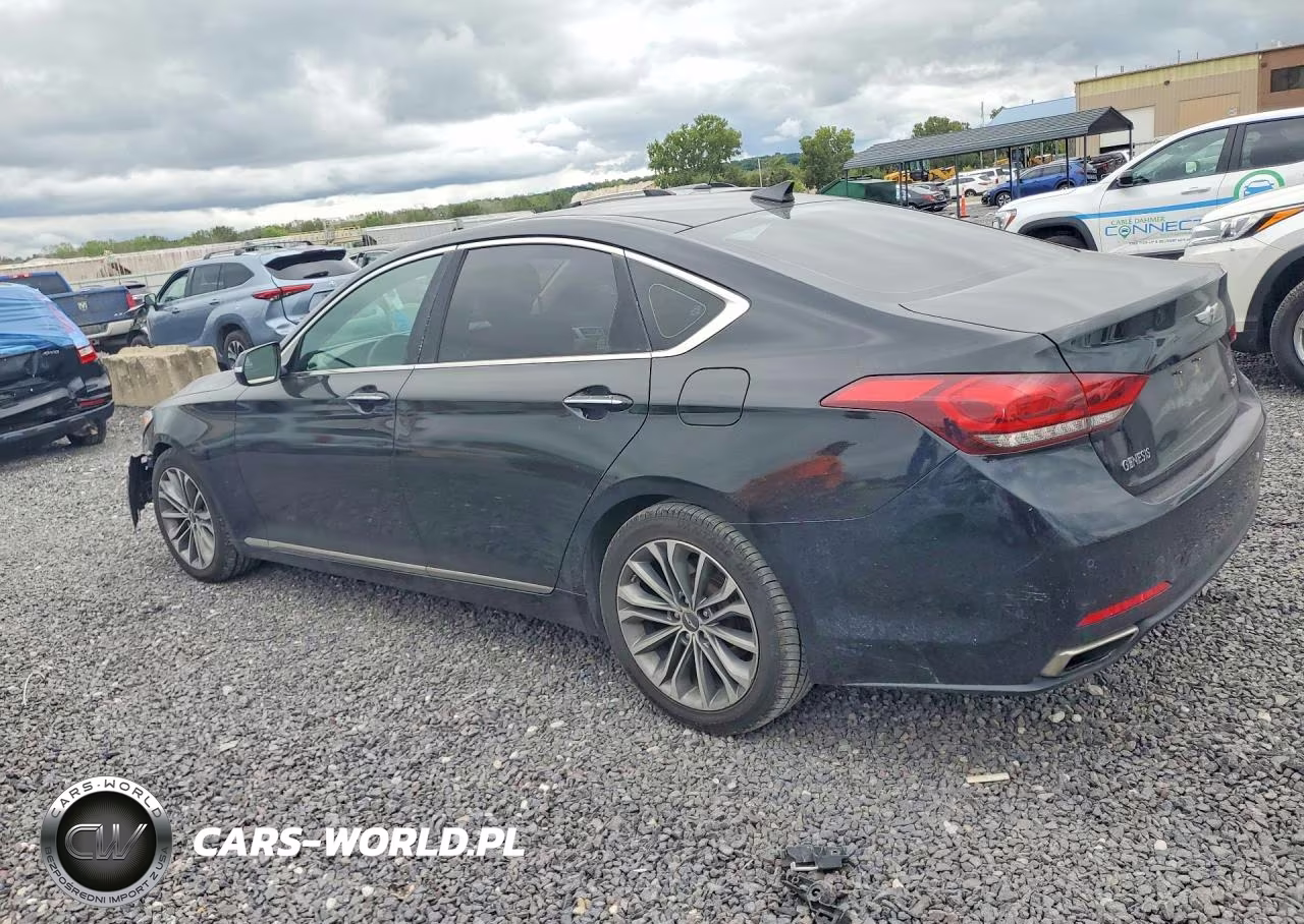 2015 Hyundai Genesis 3.8L VIN:KMHGN4JE5FU094780 - 2