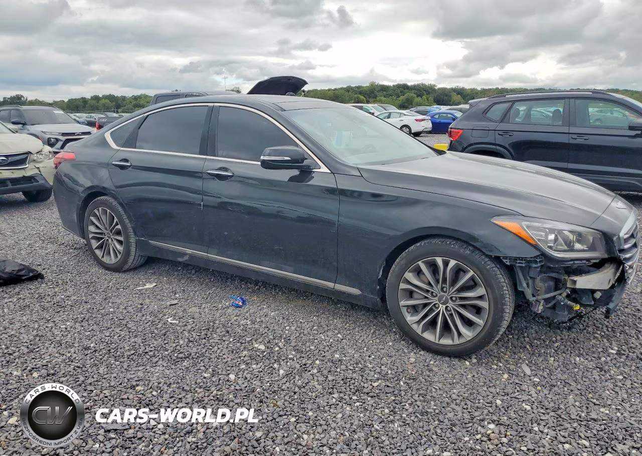 2015 Hyundai Genesis 3.8L VIN:KMHGN4JE5FU094780 - 4