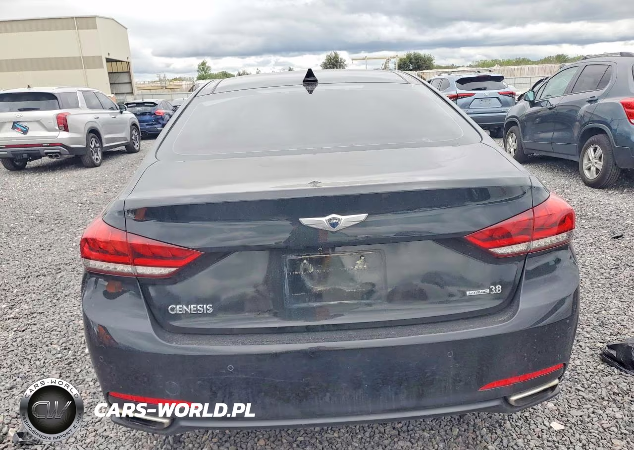 2015 Hyundai Genesis 3.8L VIN:KMHGN4JE5FU094780 - 6