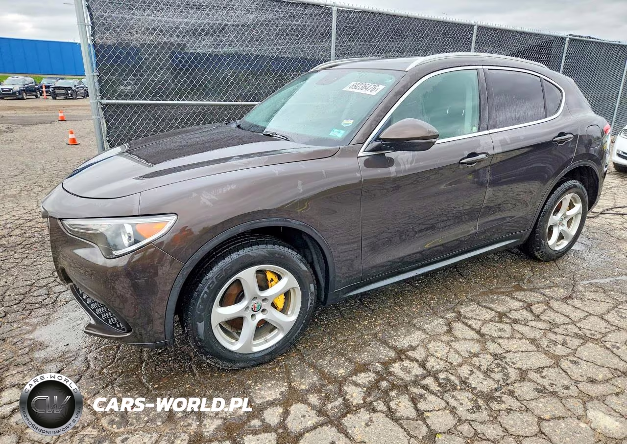 2019 Alfa Romeo Stelvio VIN:ZASPAKAN3K7C49542 - 1