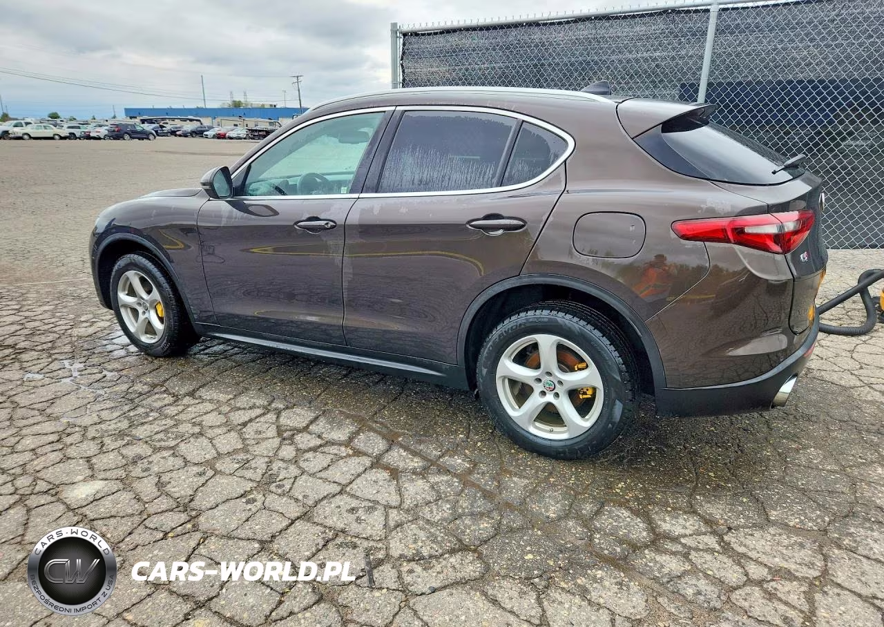 2019 Alfa Romeo Stelvio VIN:ZASPAKAN3K7C49542 - 2