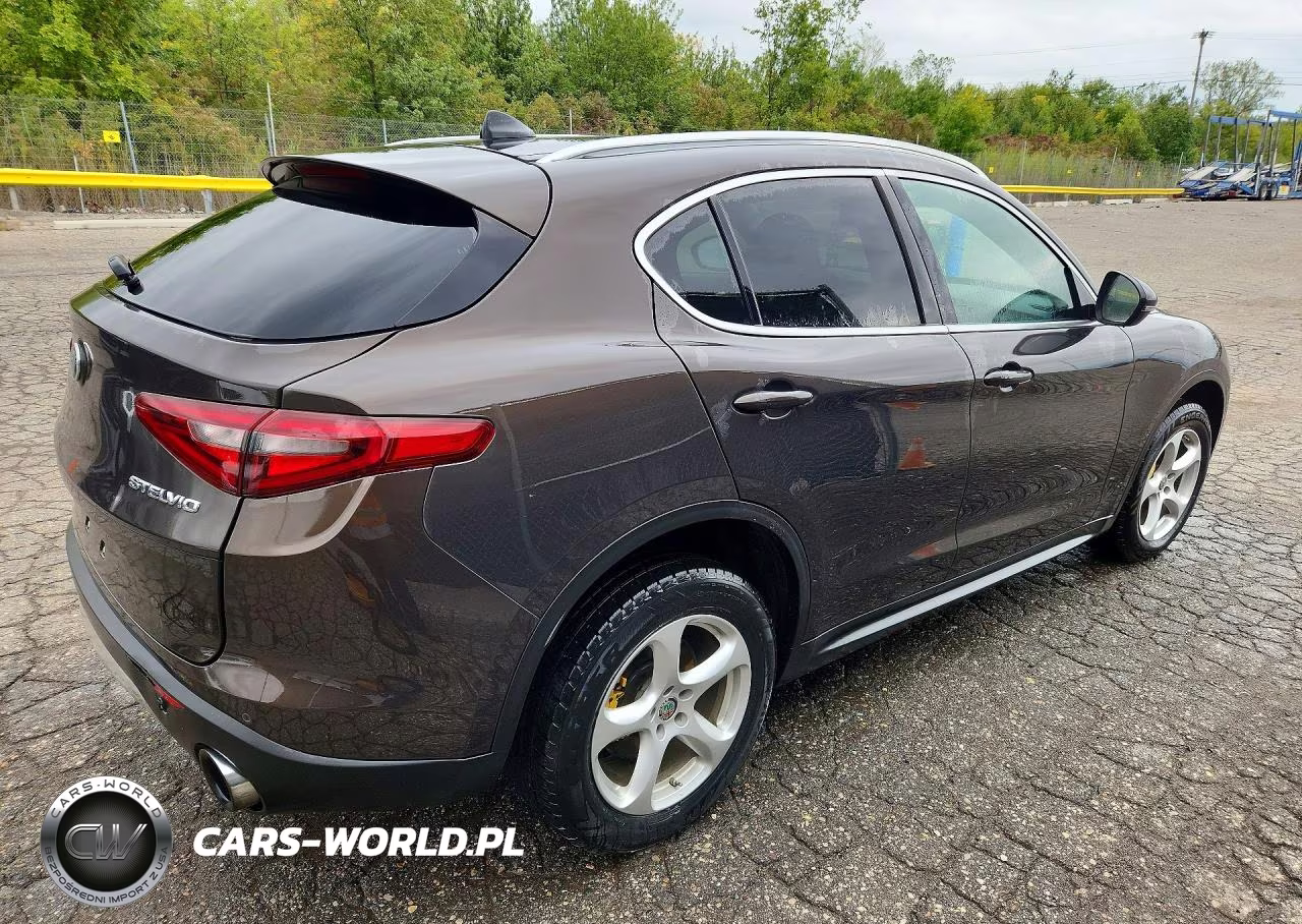 2019 Alfa Romeo Stelvio VIN:ZASPAKAN3K7C49542 - 3