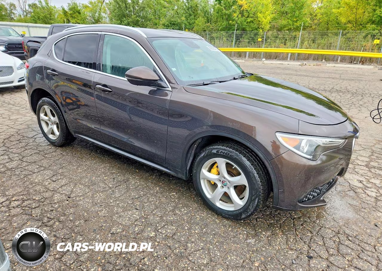2019 Alfa Romeo Stelvio VIN:ZASPAKAN3K7C49542 - 4