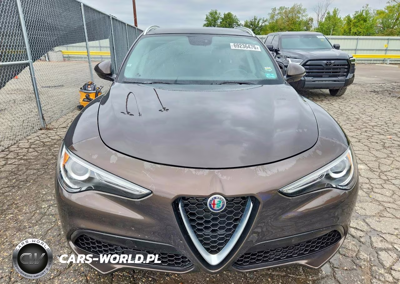 2019 Alfa Romeo Stelvio VIN:ZASPAKAN3K7C49542 - 5
