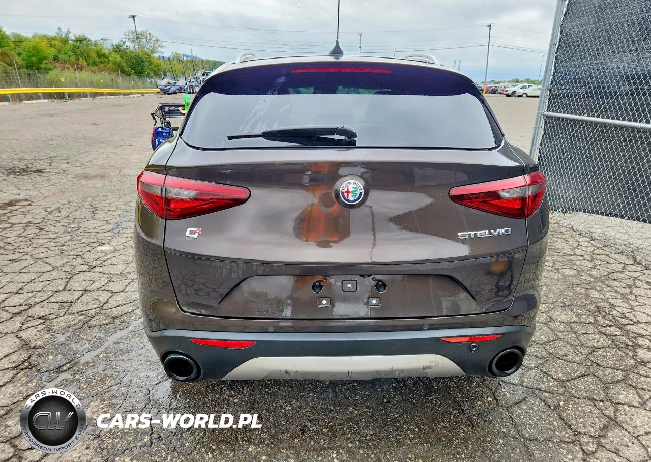 2019 Alfa Romeo Stelvio VIN:ZASPAKAN3K7C49542 - 6