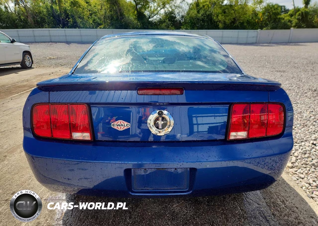2008 Ford Mustang VIN:1ZVHT80N185101189 - 6