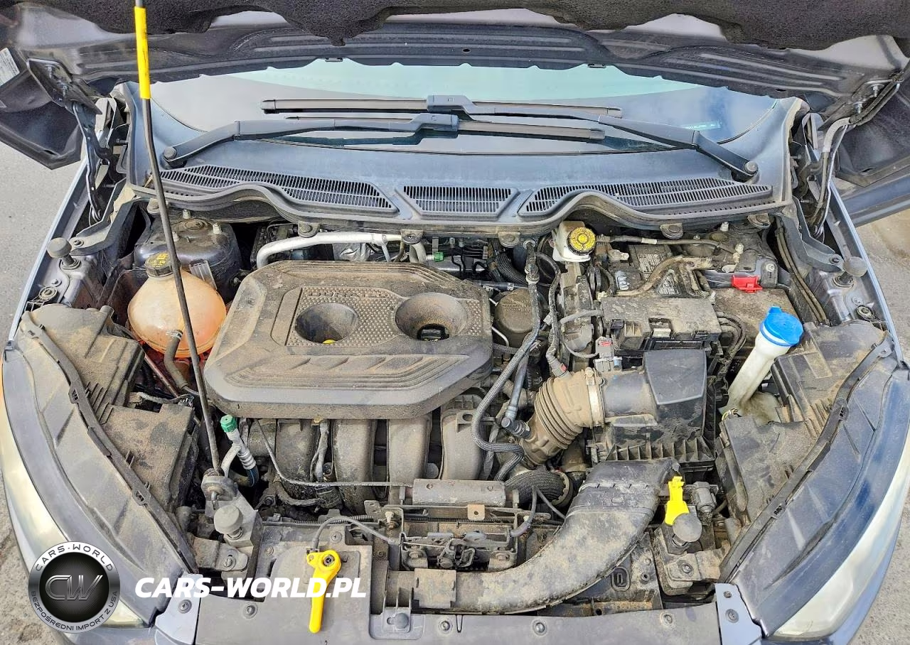 2019 Ford Ecosport Se VIN:MAJ6S3GL3KC255903 - 12