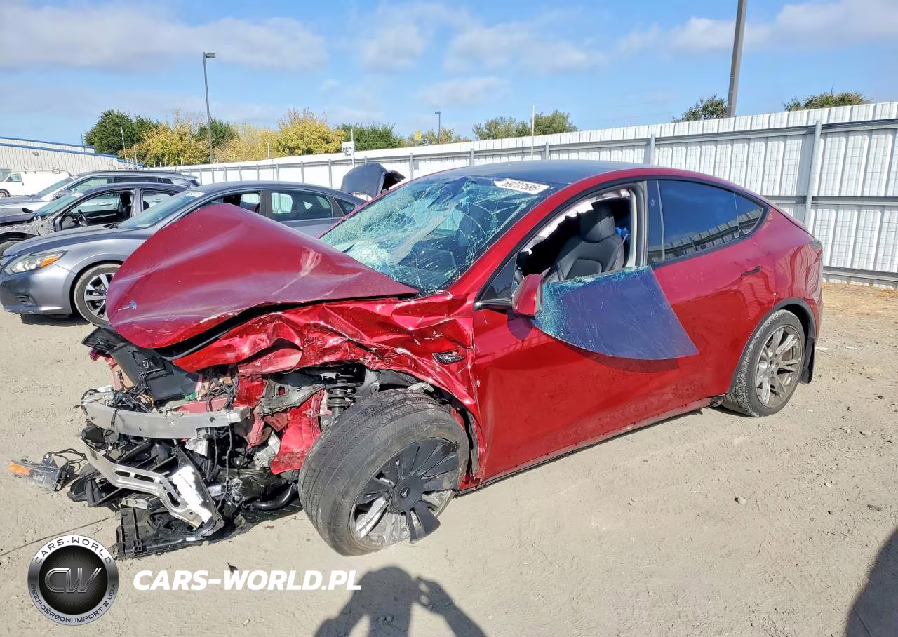 2024 Tesla Model Y VIN:7SAYGDEEXRF983555 - 1
