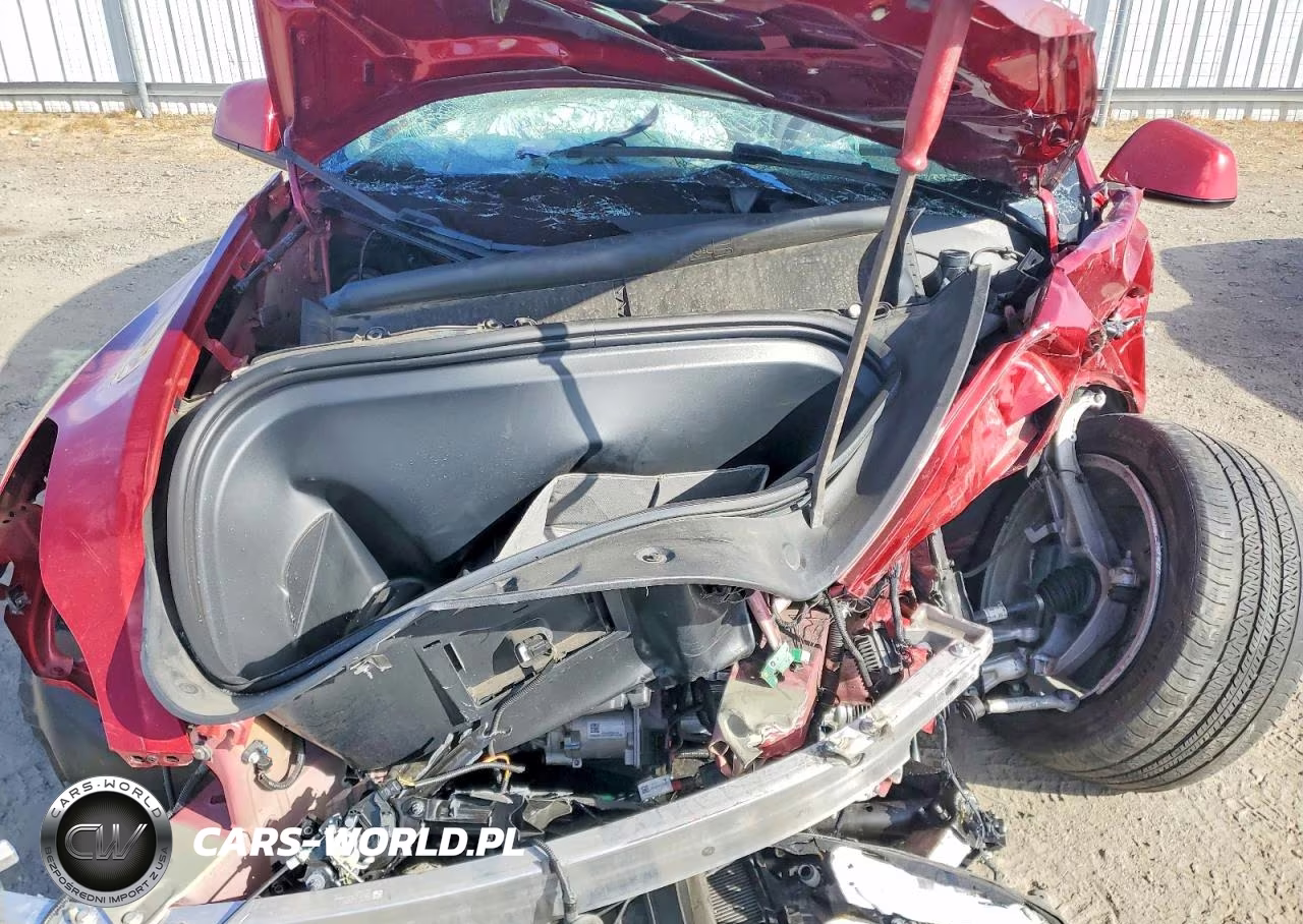 2024 Tesla Model Y VIN:7SAYGDEEXRF983555 - 12