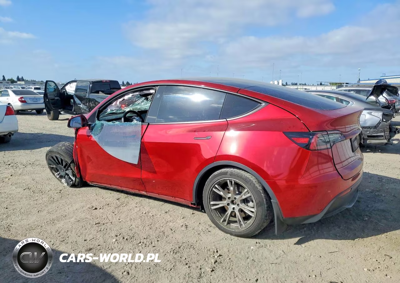 2024 Tesla Model Y VIN:7SAYGDEEXRF983555 - 2