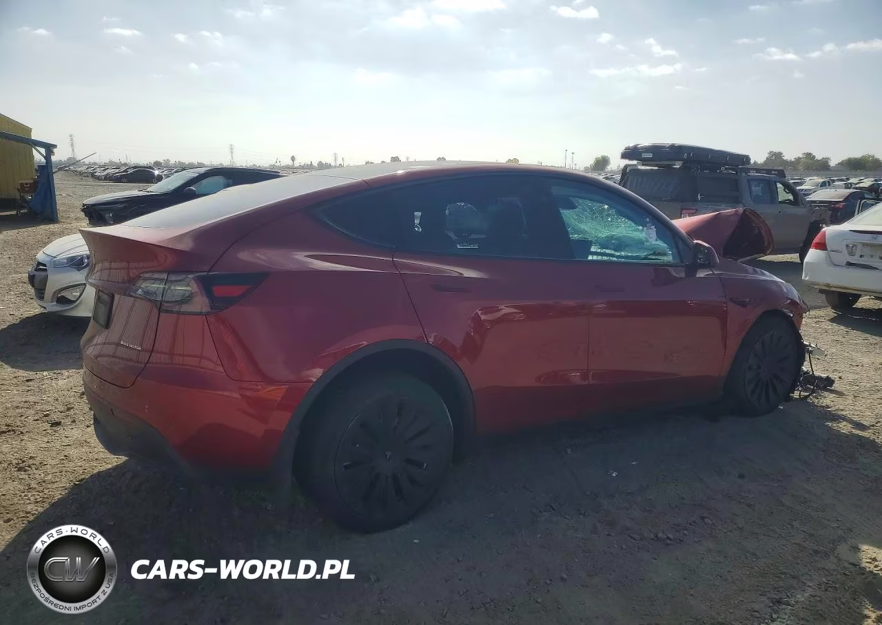 2024 Tesla Model Y VIN:7SAYGDEEXRF983555 - 3