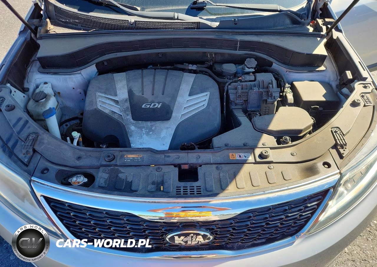 2014 Kia Sorento Lx VIN:5XYKT4A77EG514366 - 12