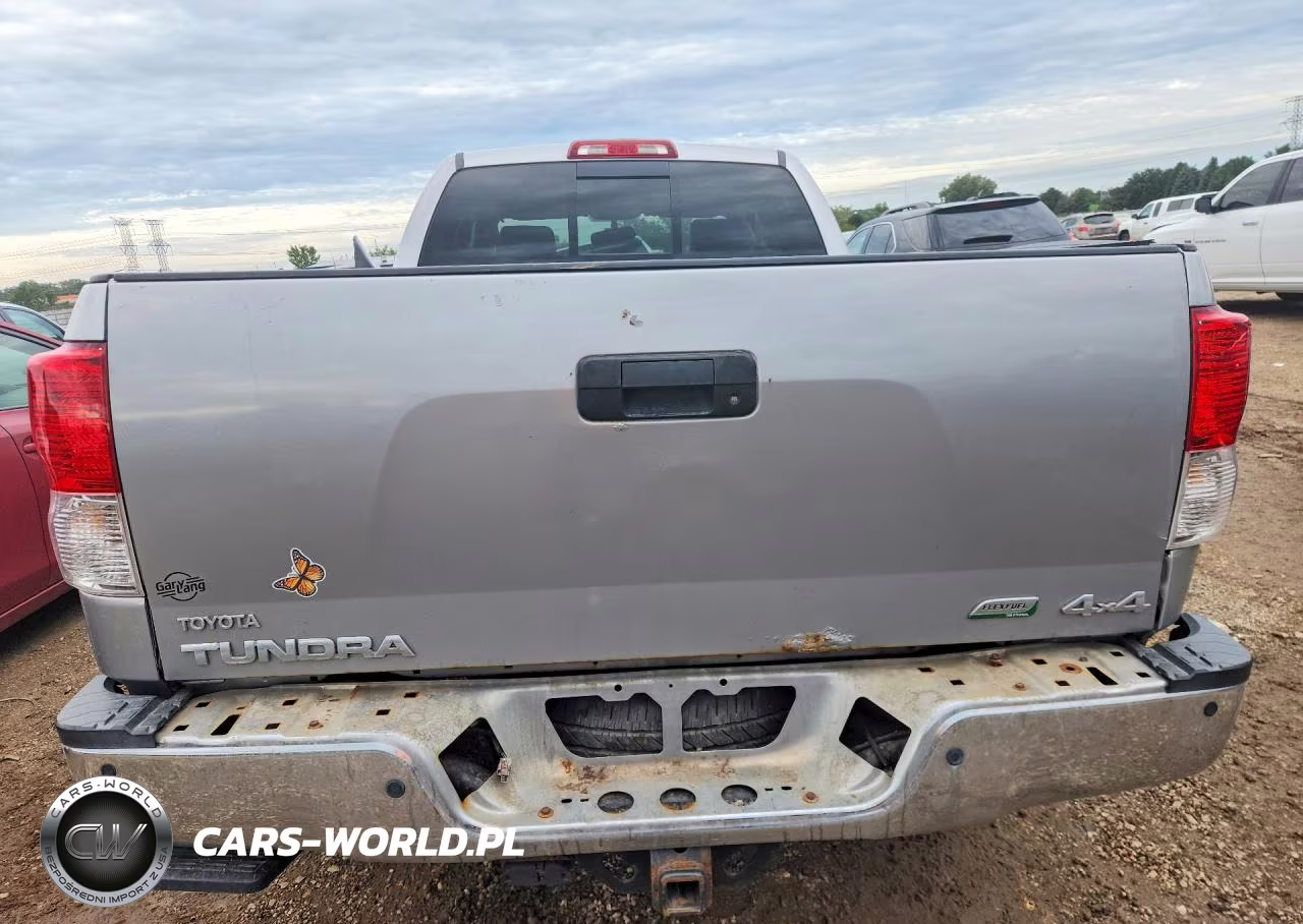 2010 Toyota Tundra Double Cab Limited VIN:5TFBW5F17AX143041 - 6
