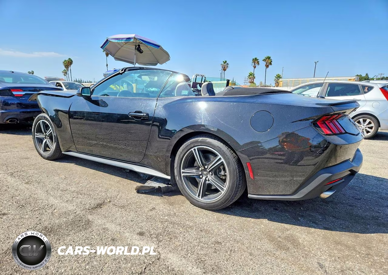 2024 Ford Mustang VIN:1FAGP8UHXR5126350 - 2