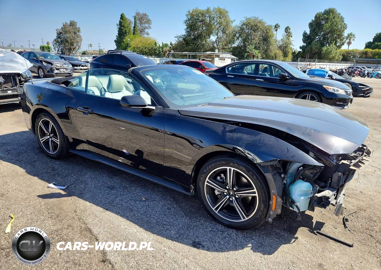 2024 Ford Mustang VIN:1FAGP8UHXR5126350 - 4