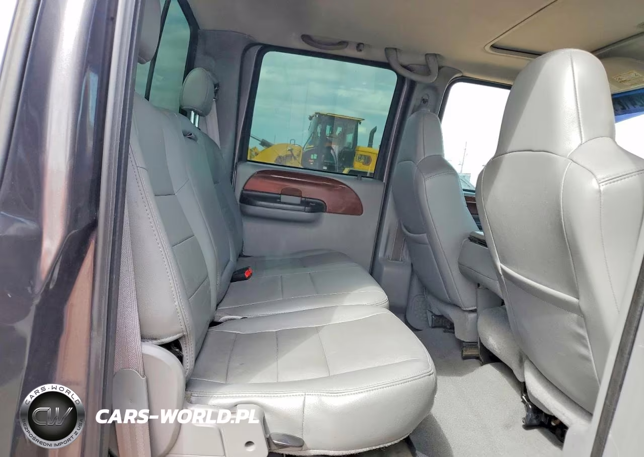2006 Ford F250 Super Duty VIN:1FTSW21P56EB31273 - 10