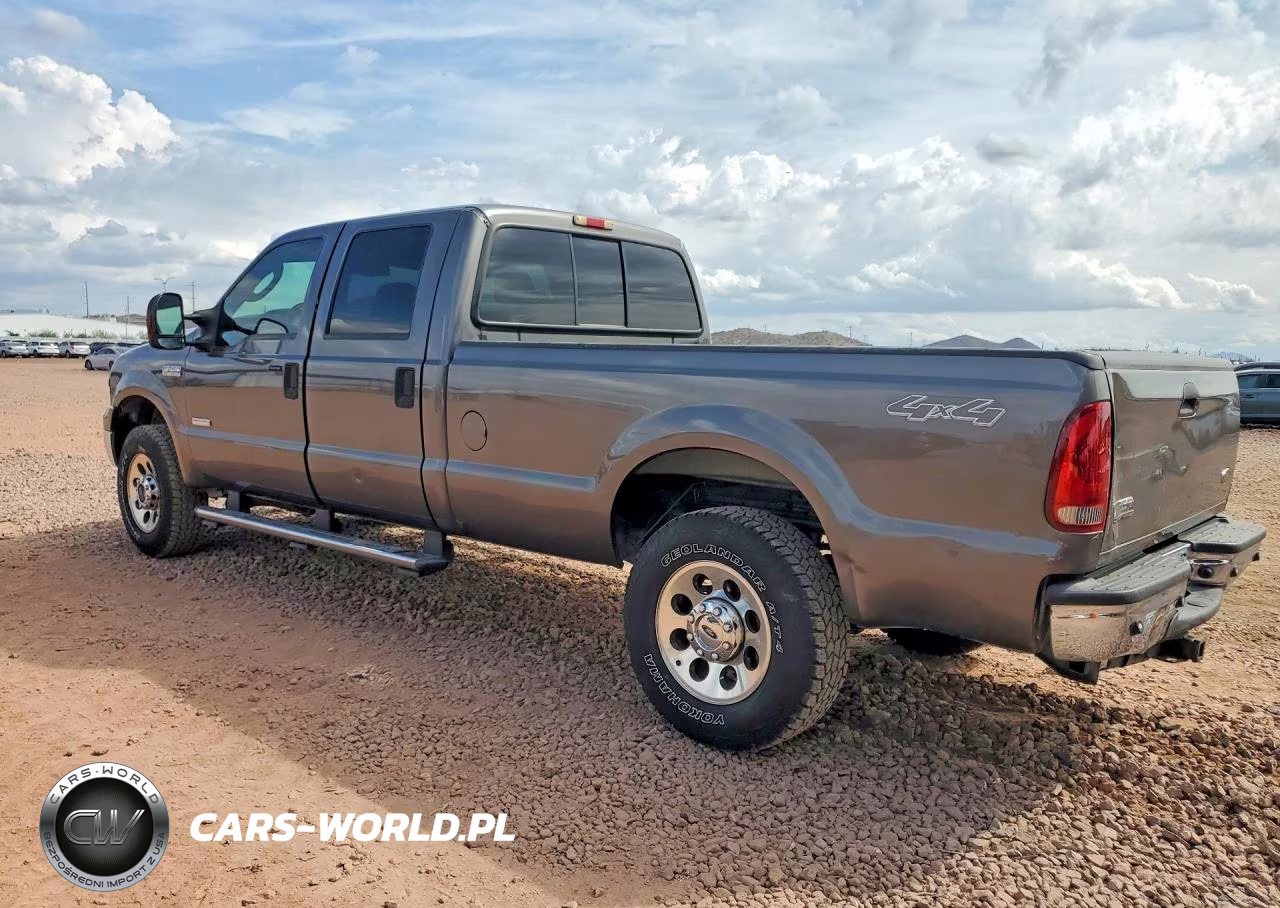 2006 Ford F250 Super Duty VIN:1FTSW21P56EB31273 - 2