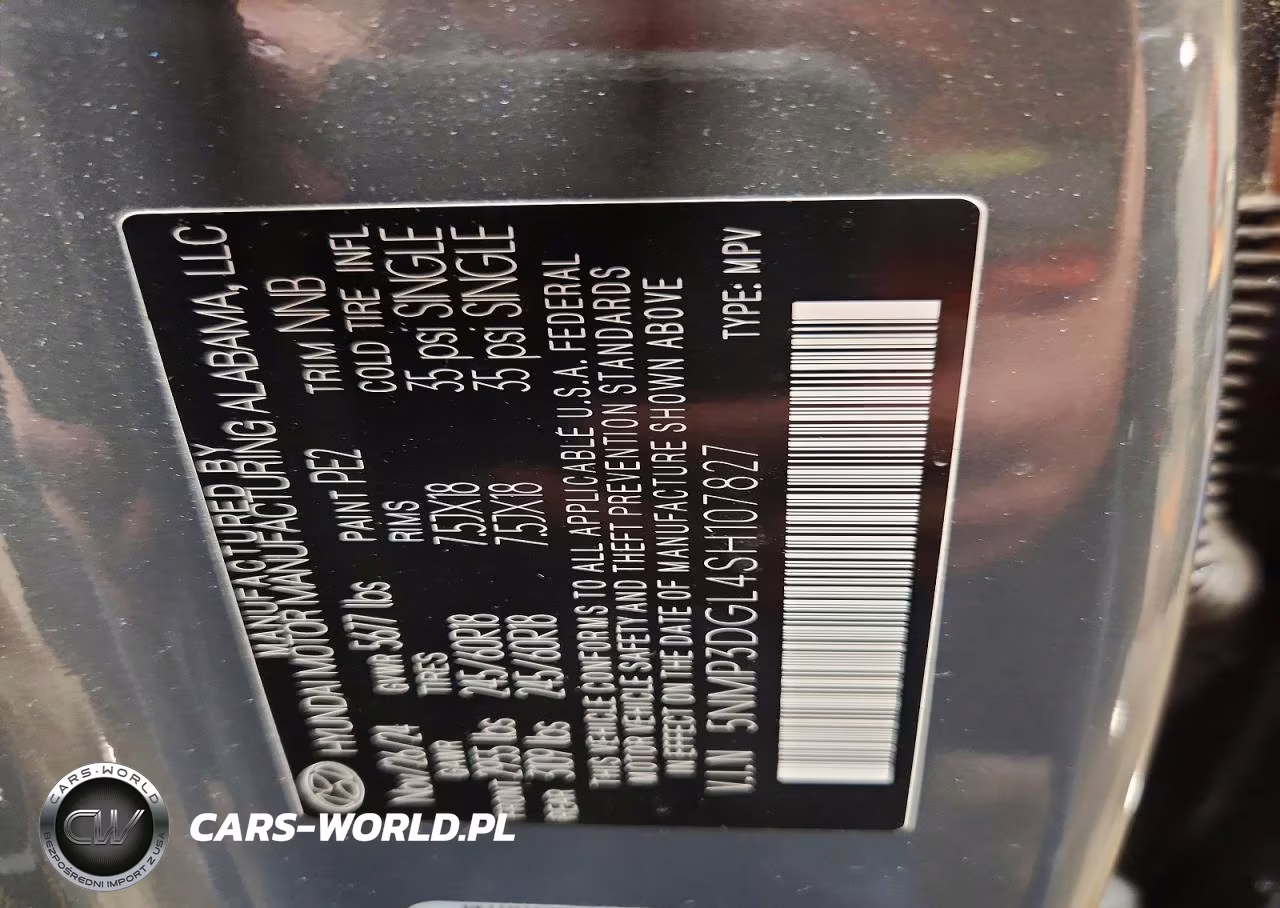 2025 Hyundai Santa Fe Xrt VIN:5NMP3DGL4SH107827 - 13