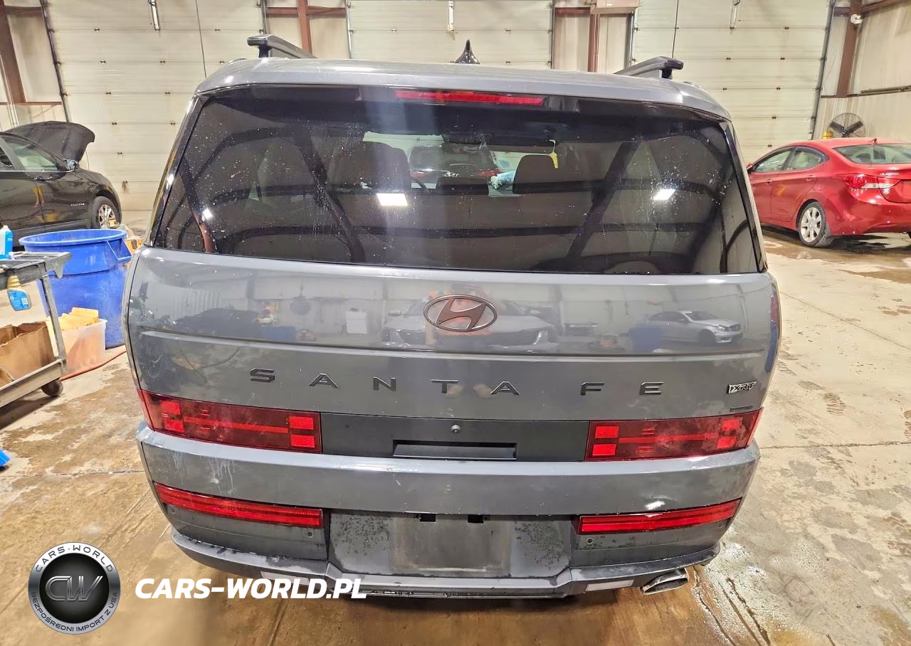 2025 Hyundai Santa Fe Xrt VIN:5NMP3DGL4SH107827 - 6