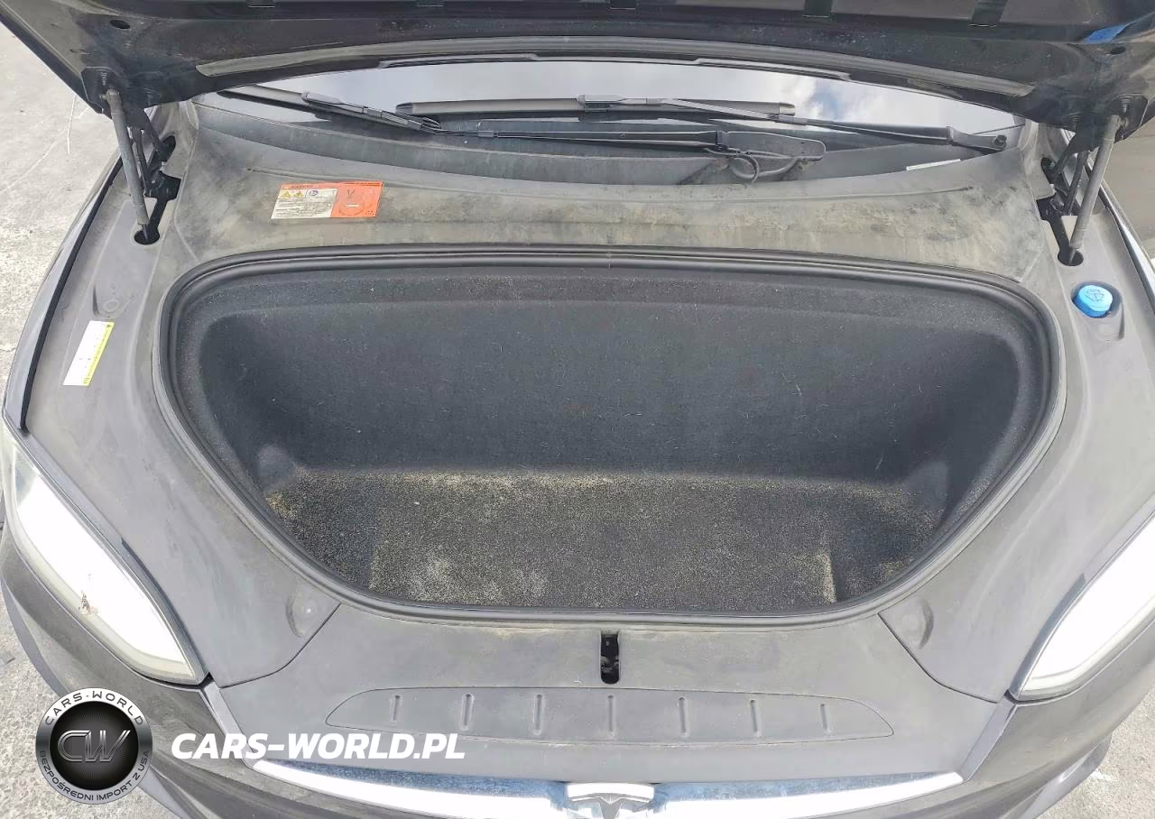 2016 Tesla Model X VIN:5YJXCBE20GF008087 - 11