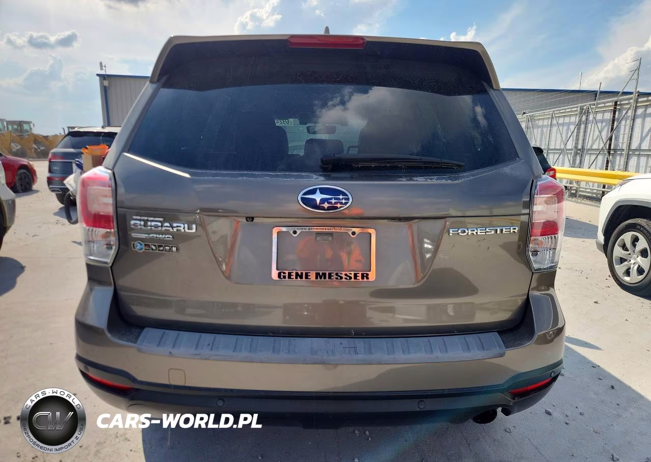 2018 Subaru Forester 2.5I Touring VIN:JF2SJAWC4JH428509 - 6