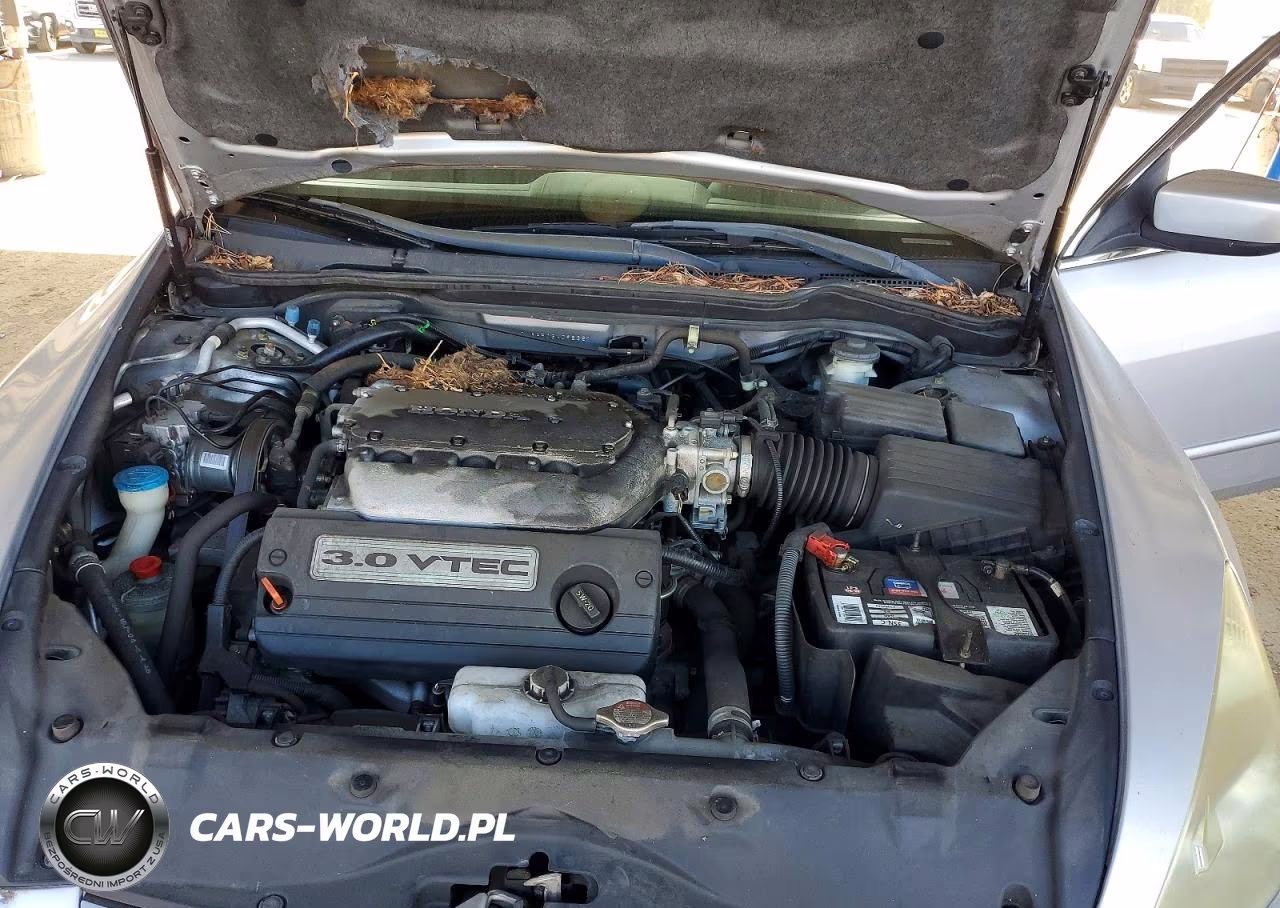 2003 Honda Accord Ex VIN:1HGCM66503A098681 - 11