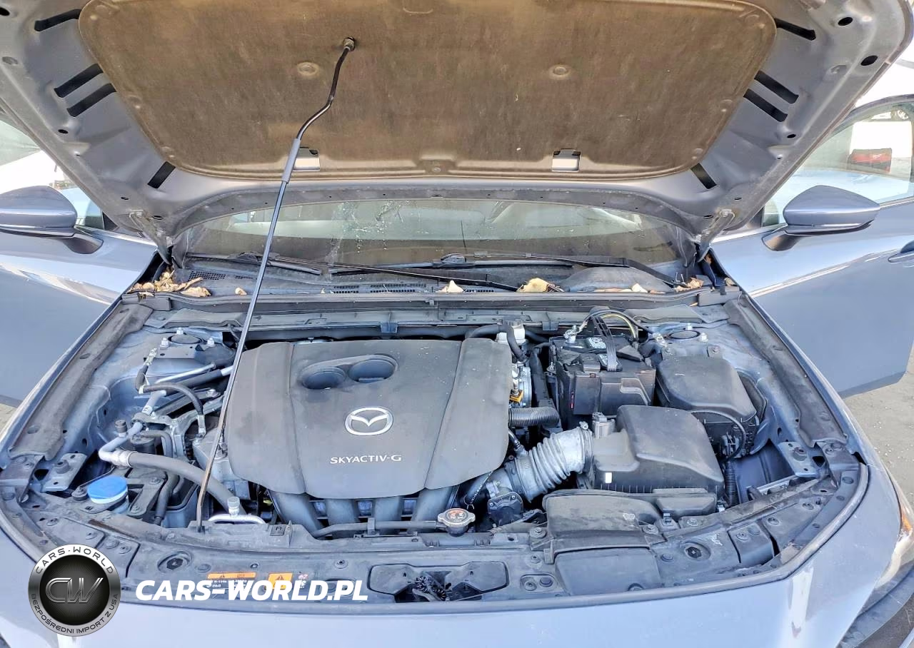 2019 Mazda 3 Premium VIN:JM1BPANMXK1132024 - 11